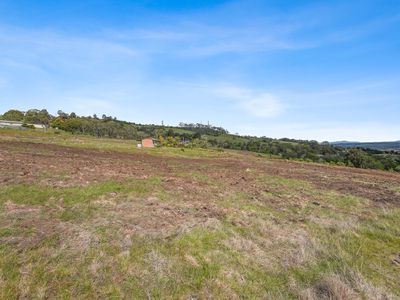 99 Abels Hill Road, St Leonards