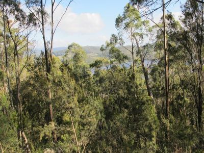 Lot 3 Cygnet Coast Road, Petcheys Bay