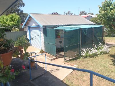 35 Naman Street, Dubbo