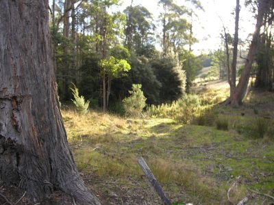 Lot 1 Halls Track Road, Pelverata