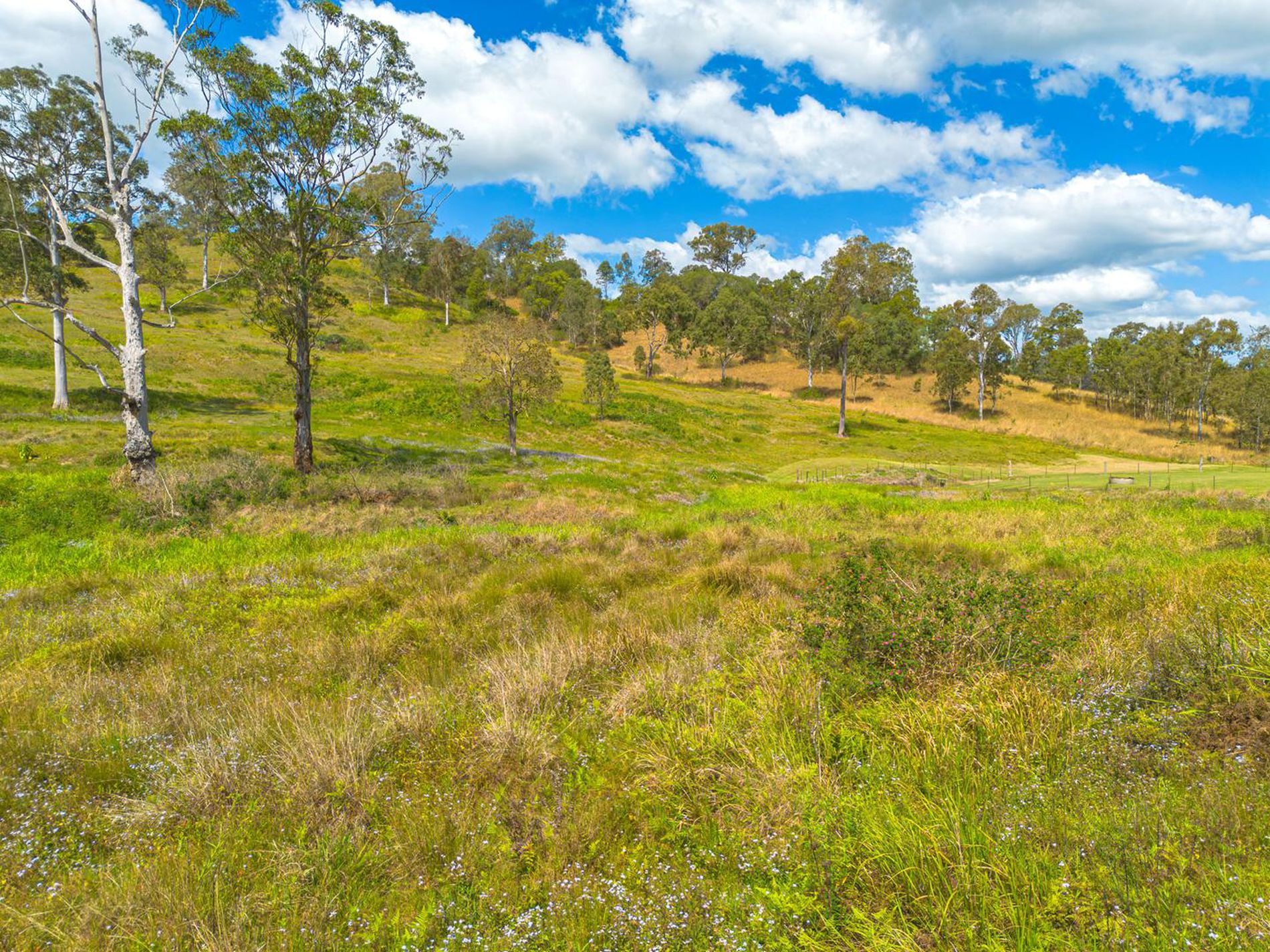 54 SUTTON ROAD, Coolabine