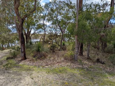 24 Flora Grove, Molloy Island