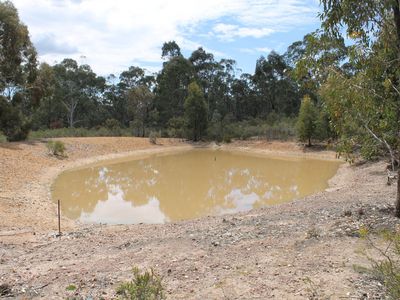 Lot 1  Tait Hamilton Road, Gobarup