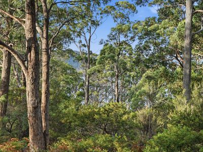 287 Esperance Coast Road, Brooks Bay