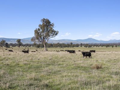 259 Blue Range Road, Bridge Creek