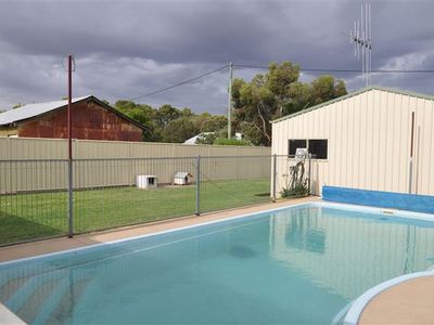 29 Wambat Street, Forbes