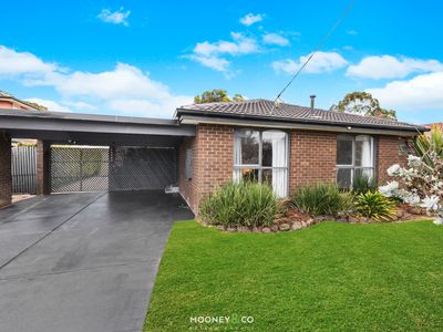 3 Geoffrey Court, Cranbourne