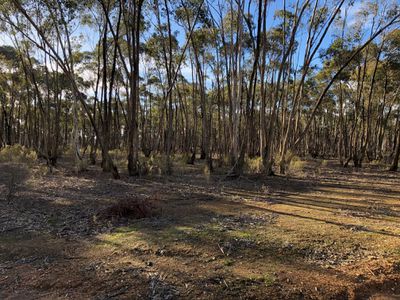 59 Palmer Road, Simson
