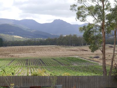 1834 Huon Highway, Grove