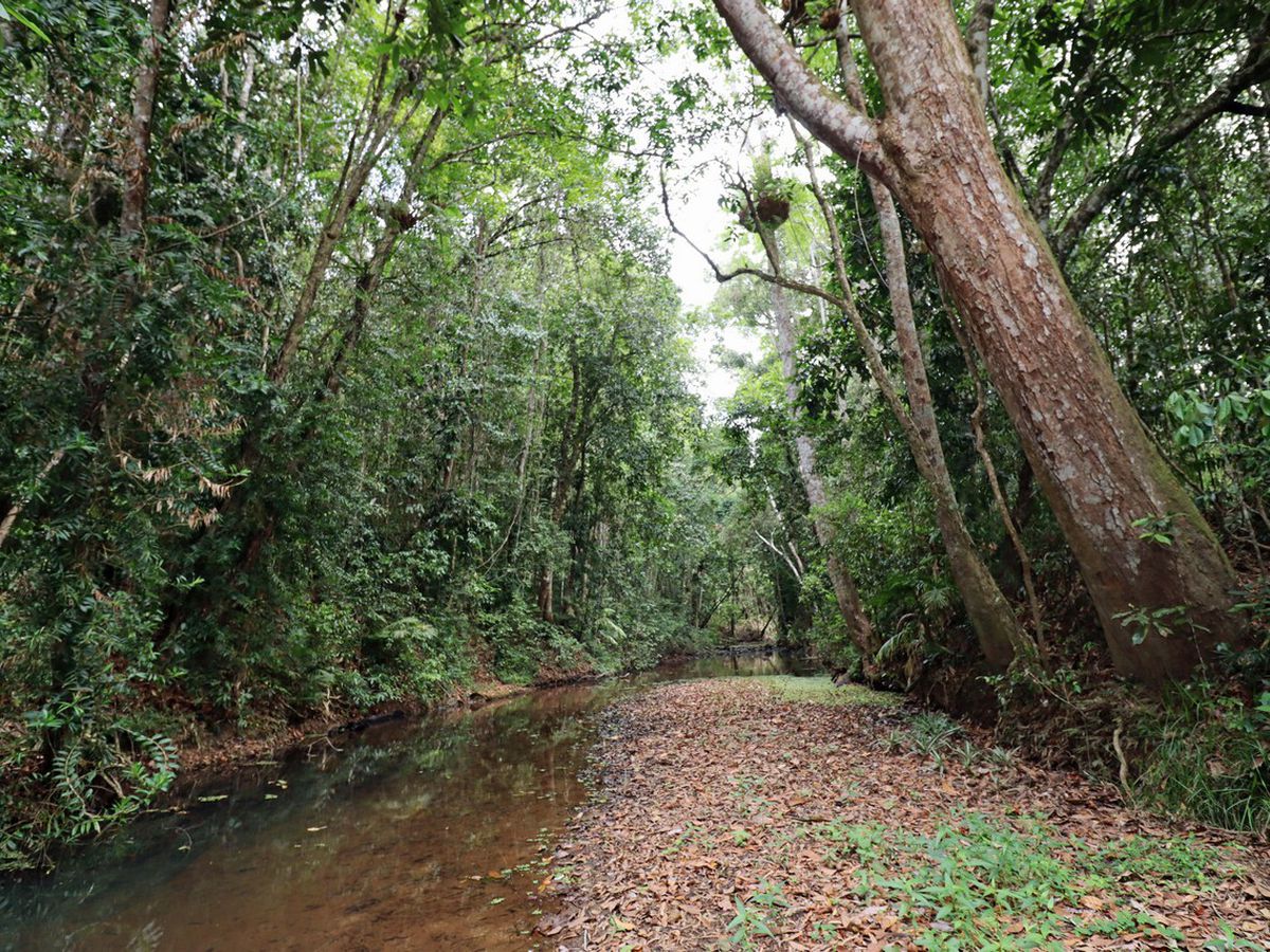 Danbulla