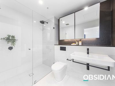 203 / 15 Marshall Avenue, St Leonards
