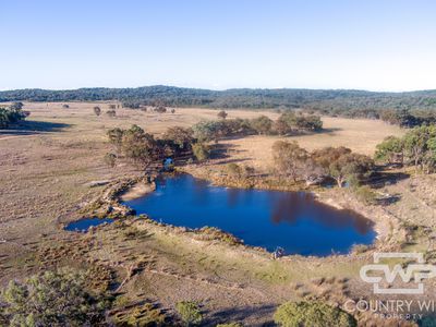 3889 Nullamanna Road, Wellingrove