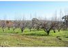 2013 Cargo Road, Orange