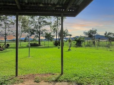 41 Campbell Street, Cullinane