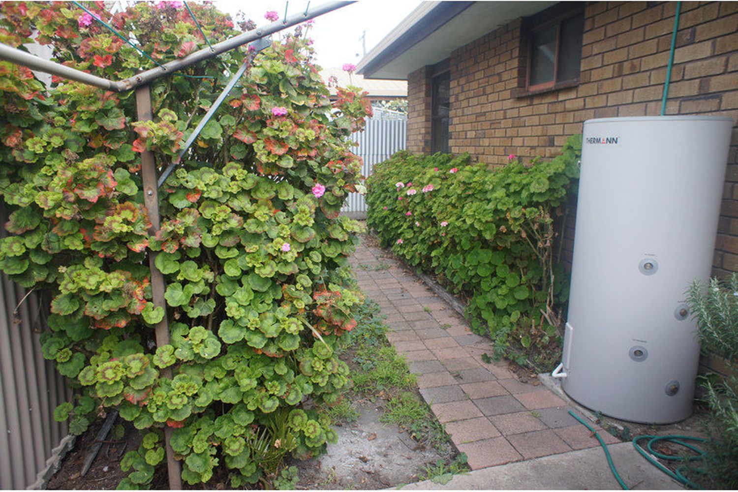 3 / 112 Baillie Street, Horsham