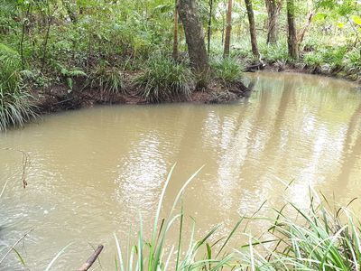 110  Yankee Creek Road, Mullumbimby Creek