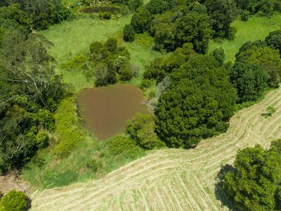 21 Shipway Road, Nimbin