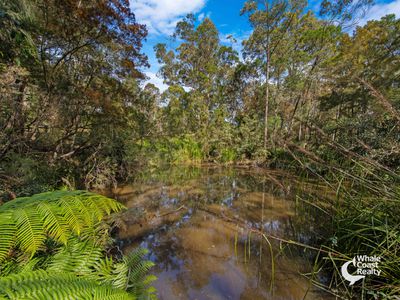 45 Lyrebird Place, Bodalla