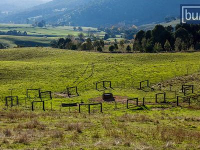 49 Perkins Road, Lucyvale