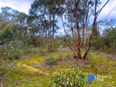 97 Bates Court, Heathcote