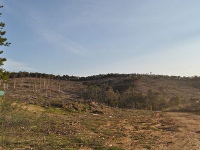 . Murray Valley Highway, Koetong