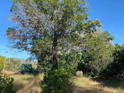 6835 Mulligan Highway, Mount Carbine