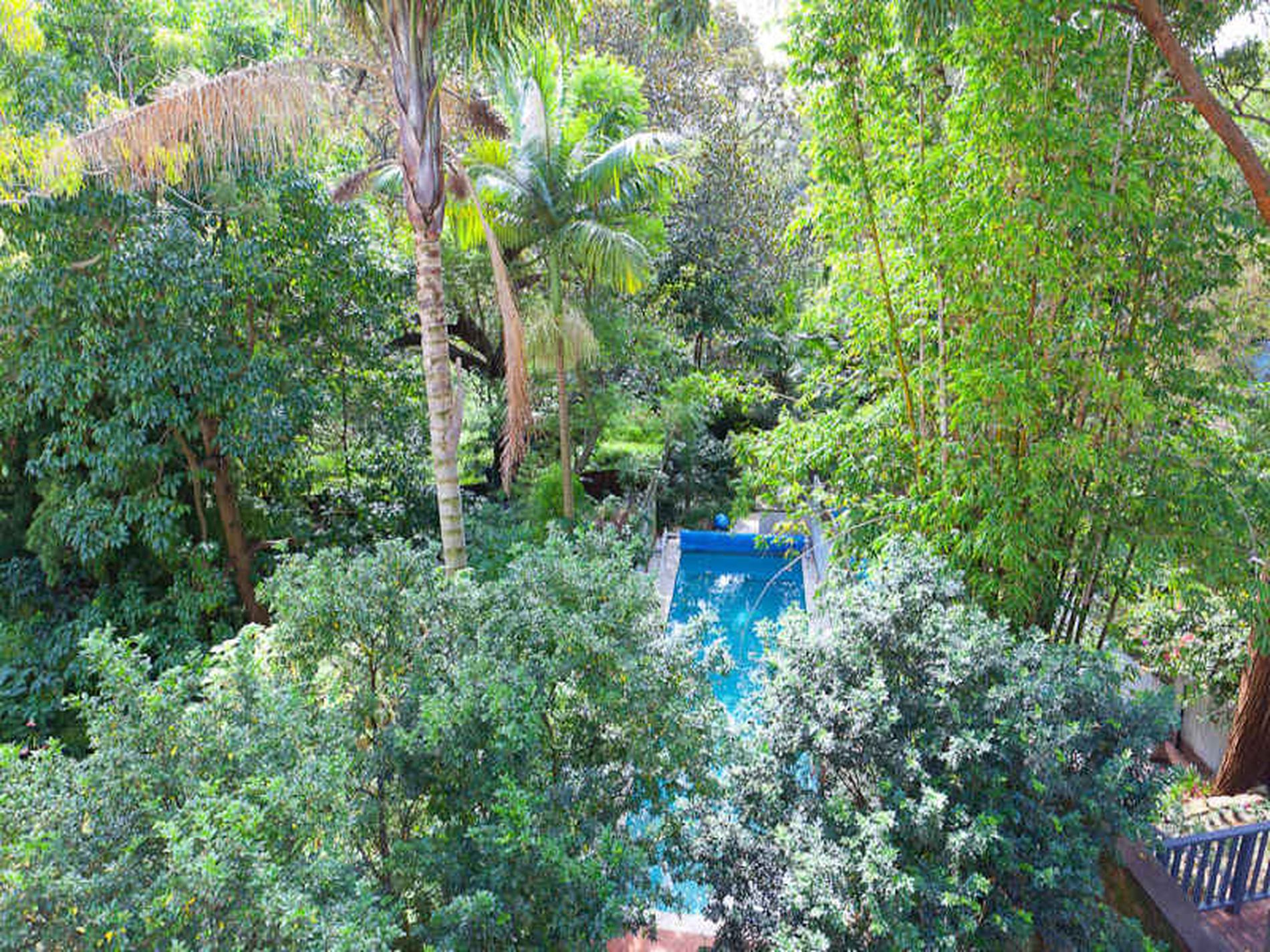 287 Edgecliff Road, Woollahra