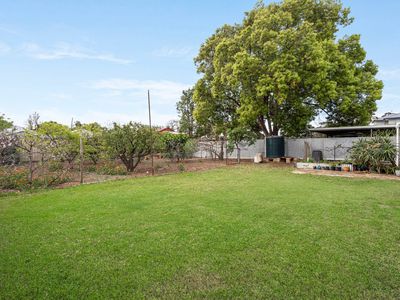 19 Dumbarton Avenue, Edwardstown
