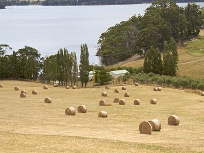 1192 Cygnet Coast Road, Wattle Grove