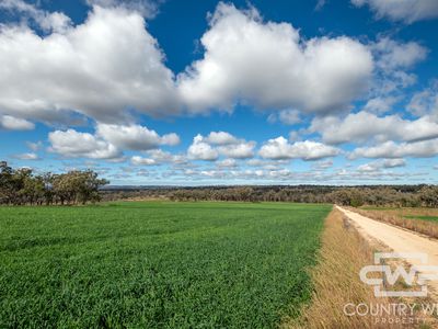1036 Rob Roy Road, Inverell