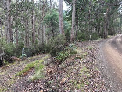 711 Judds Creek Road, Judbury