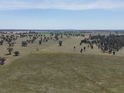 3166 Back Trundle Road, Parkes