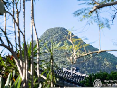 9 Avocado Court, Mullumbimby