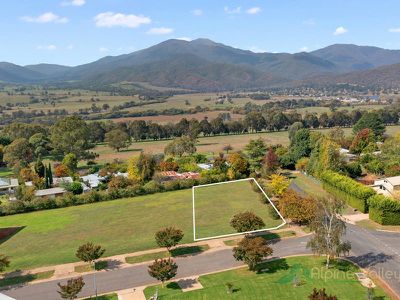 2 Fiddleback Drive, Tawonga South