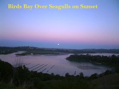 22 Inlet Drive, Tweed Heads West