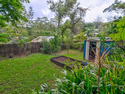 291 Macdonnell Road, Tamborine Mountain