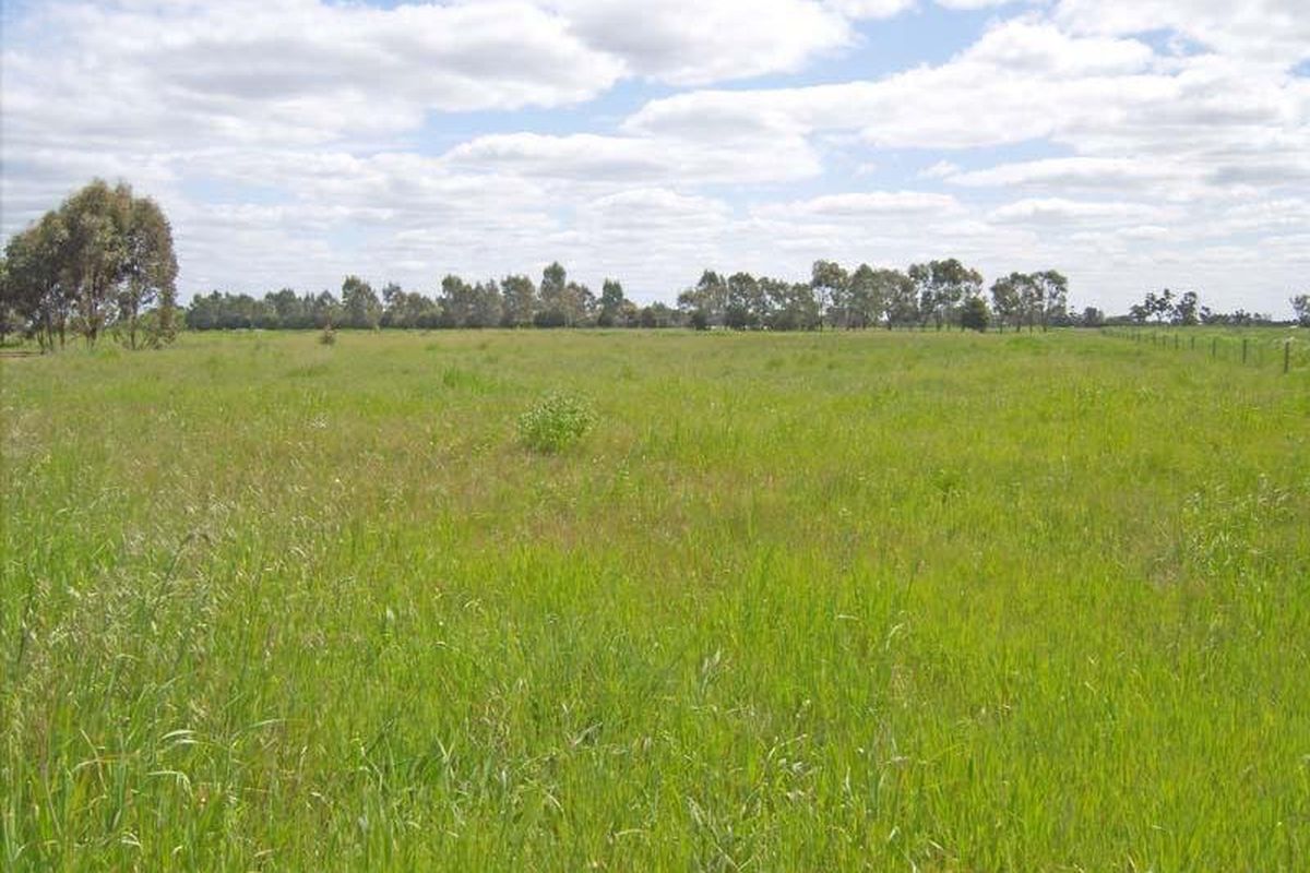 Lot 1 McKenzie Road, Lancaster