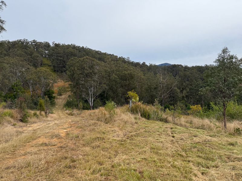 Lot 5, 3658 Nowendoc Road, Number One