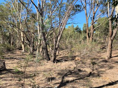 Lot 19J, Mt Camel-Graytown Road, Redcastle
