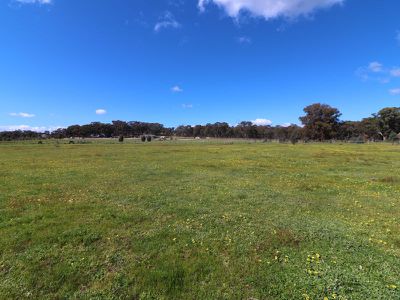 130 Cowles Road, Seymour