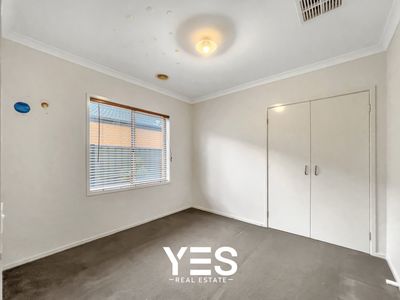 49 Springleaf Avenue, Clyde North