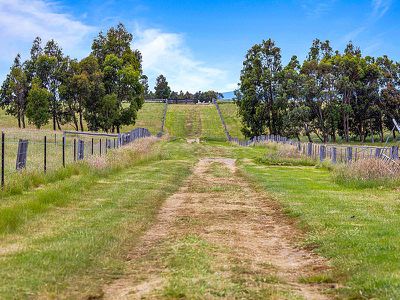 800 Mcintosh Road, Nulla Vale