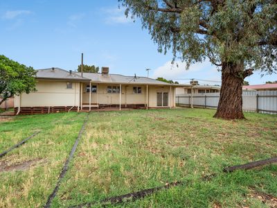 41 Eureka Street, Hannans