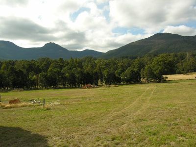 Mountain River Road, Mountain River