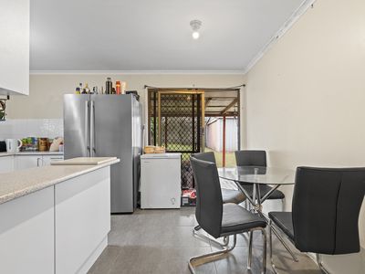 11 Anchusa Street, Kingston