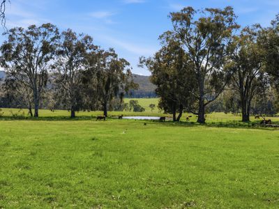 1129 Moyhu-Meadow Creek Road, Meadow Creek