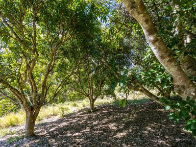 376 Middle Creek Road, Federal