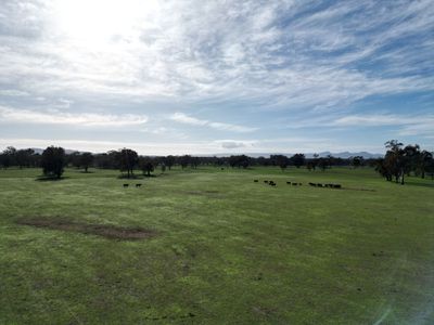 'Willowbank' Urana Road, Jindera