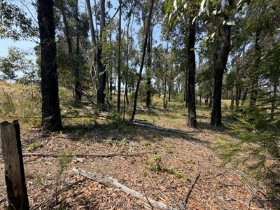 69 Karbeethong Avenue, Mallacoota