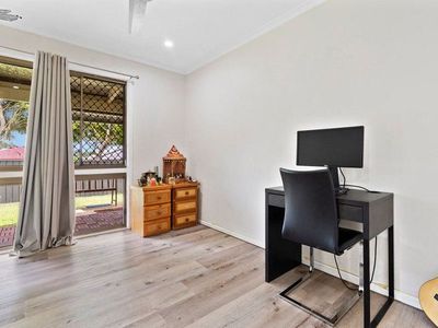 6 Celeste Court, Springwood